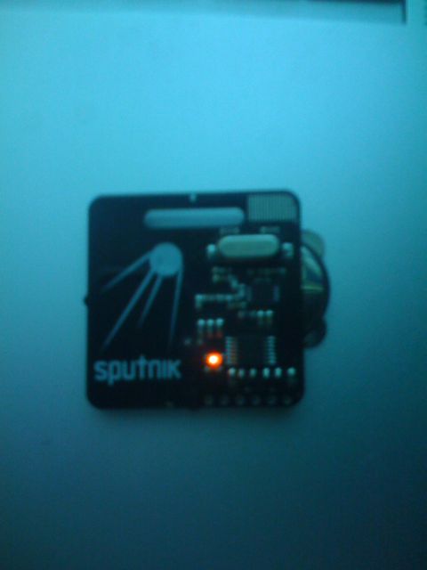 Sputnik 2006