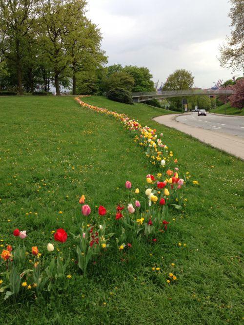 Guerilla Gardening