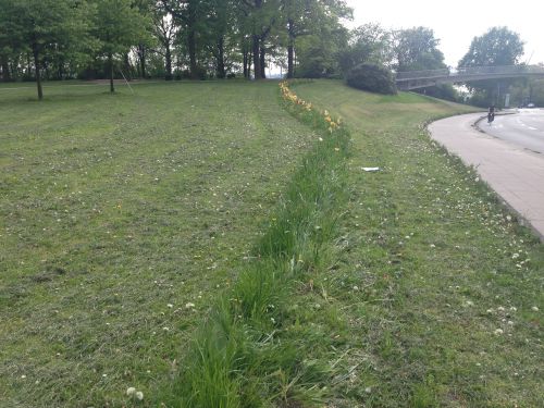 Guerilla Gardening