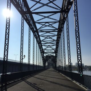 Süderelbbrücke