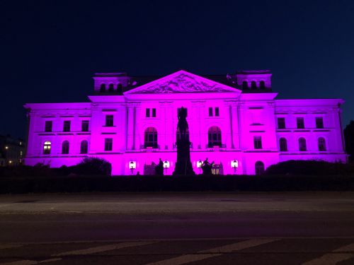 Rathaus Pink