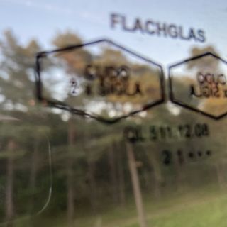 Wald im Arsch aus dem Flachglasfensterzug
