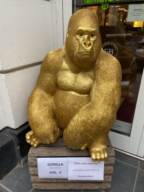 Gorilla nur 599.- für Zuhause