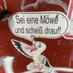 Sei eine Möwe