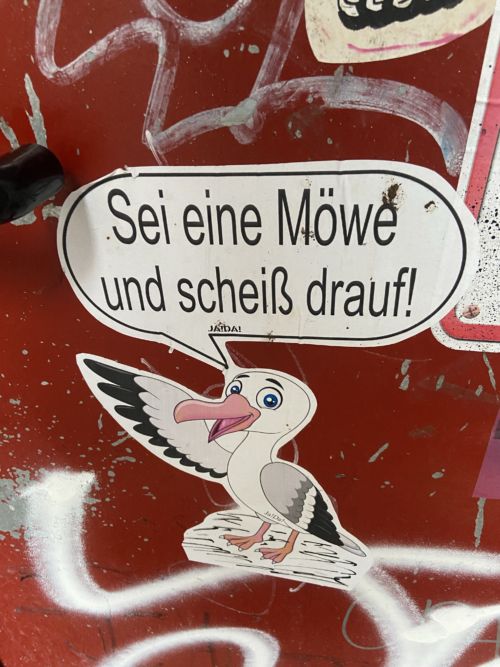 Sei eine Möwe