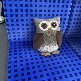 Schwarzfahren is super!