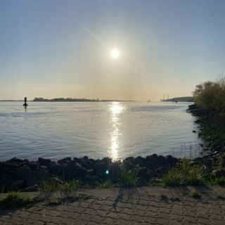 Facing the sun