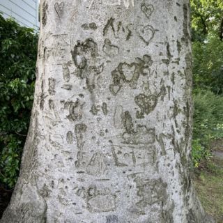 Old Tags