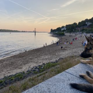 Chillbeach