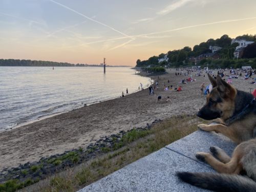 Chillbeach