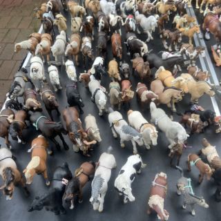 Stampede