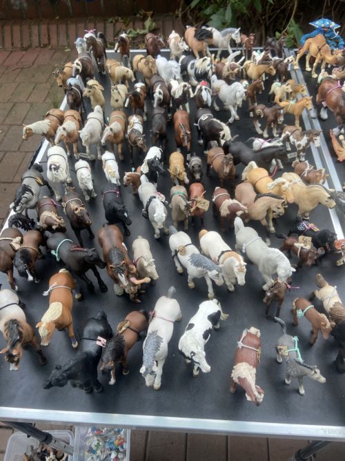 Stampede