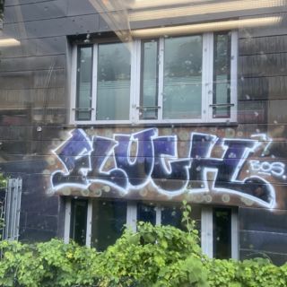 Sluu