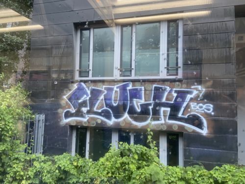 Sluu