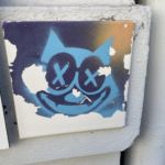 Dizzy Cat