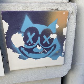 Dizzy Cat