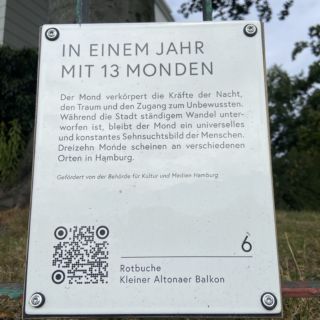 Rotbuche Kleiner Altonaer Balkon