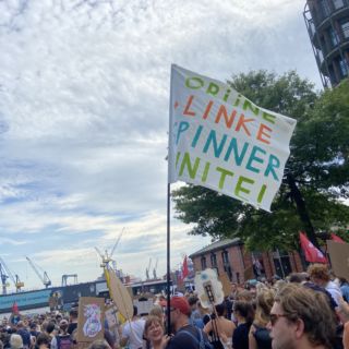 Grüne linke Spinner unite! 😎🎉💖