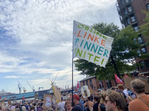 Grüne linke Spinner unite! 😎🎉💖