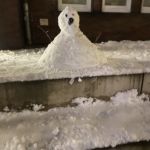 Flaschennasenschneefigur