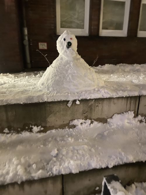 Flaschennasenschneefigur