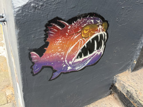 Sonnenbrillenfisch