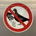 Dont feed doves