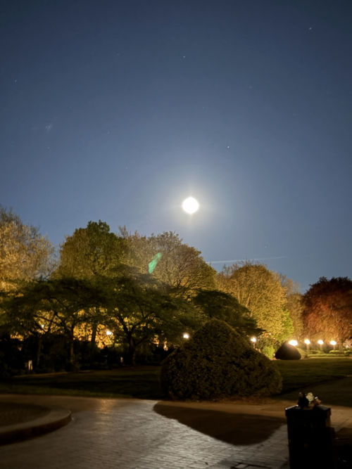Mond und Mondlaternen
