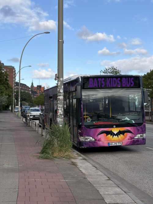 Bats Kids Bus
