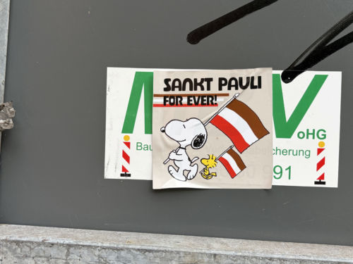 Snoopy Pauli